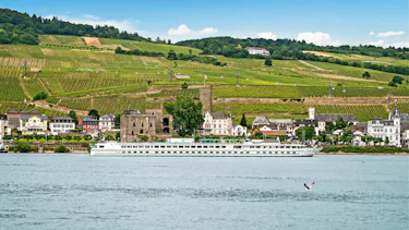 MS Leonard da Vinci, Mosel