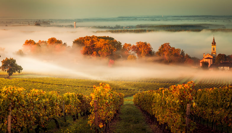 Bordeaux, Frankrig
