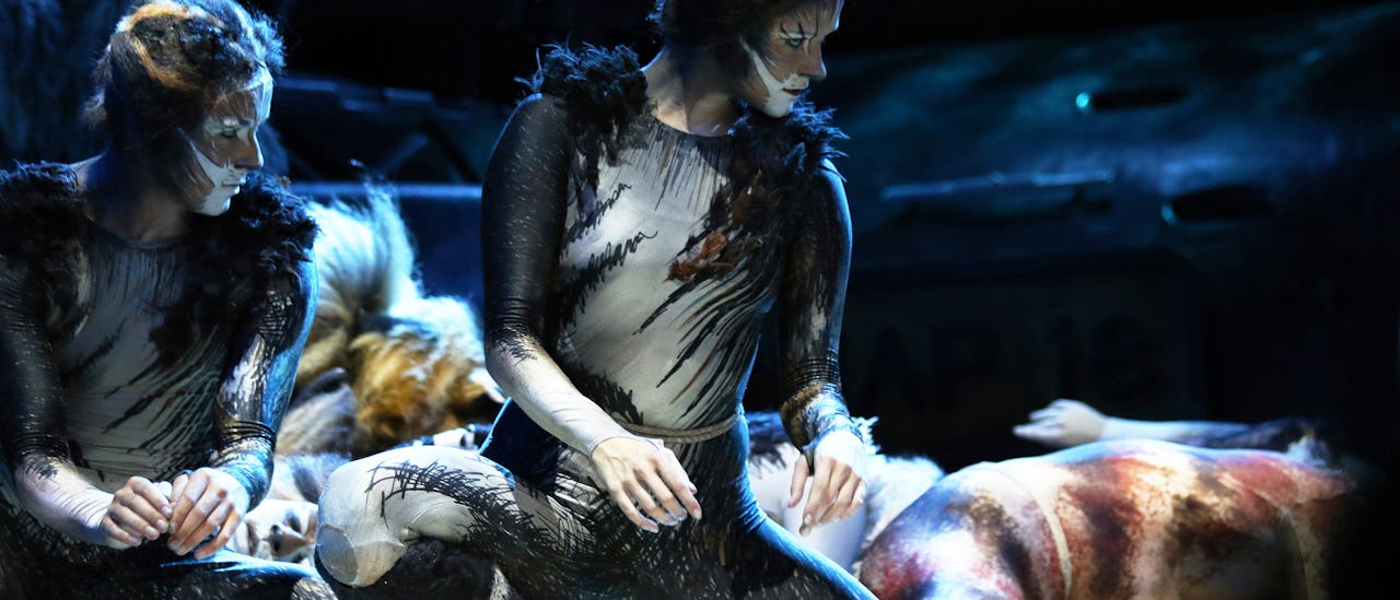 Hovedattraktionen i teatret er et 90 minutter langt og overdådigt sæt af musicalen Cats