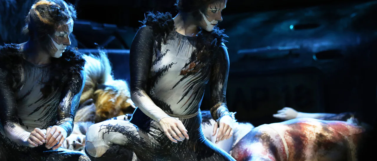 Hovedattraktionen i teatret er et 90 minutter langt og overdådigt sæt af musicalen Cats