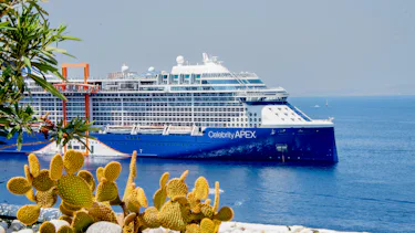 Celebrity Apex, Caribien