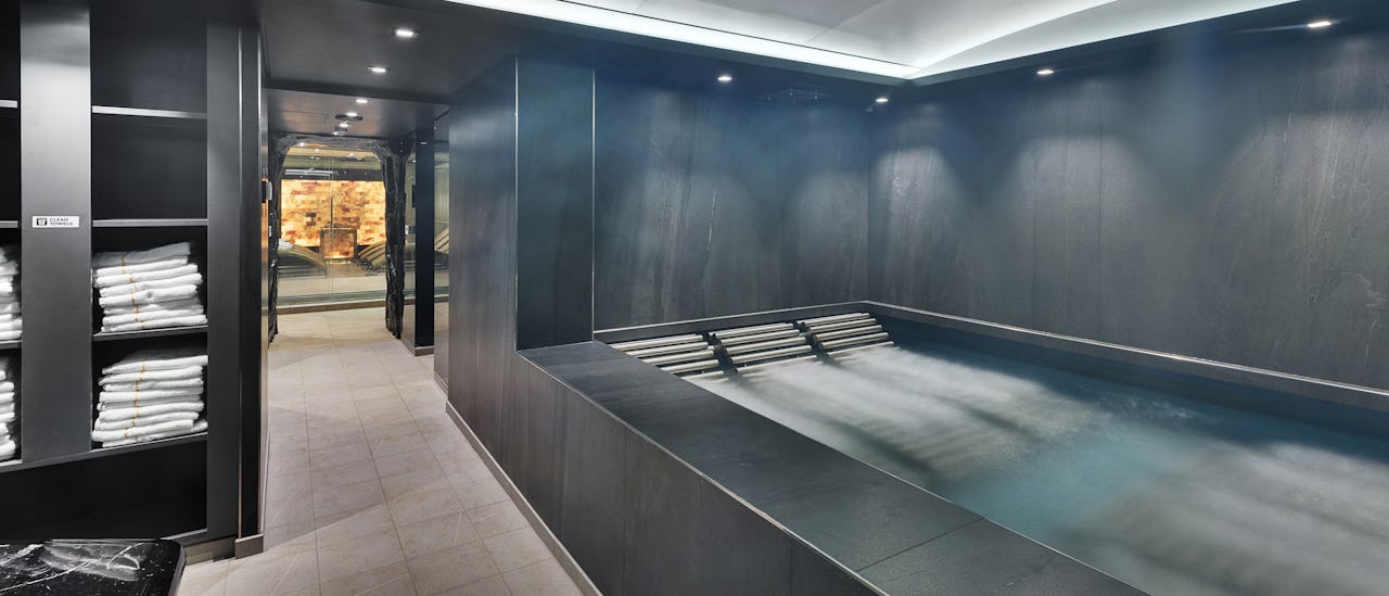 Forkæl dig selv med en gavnlig behandling i spa-området - mod ekstra omkostninger