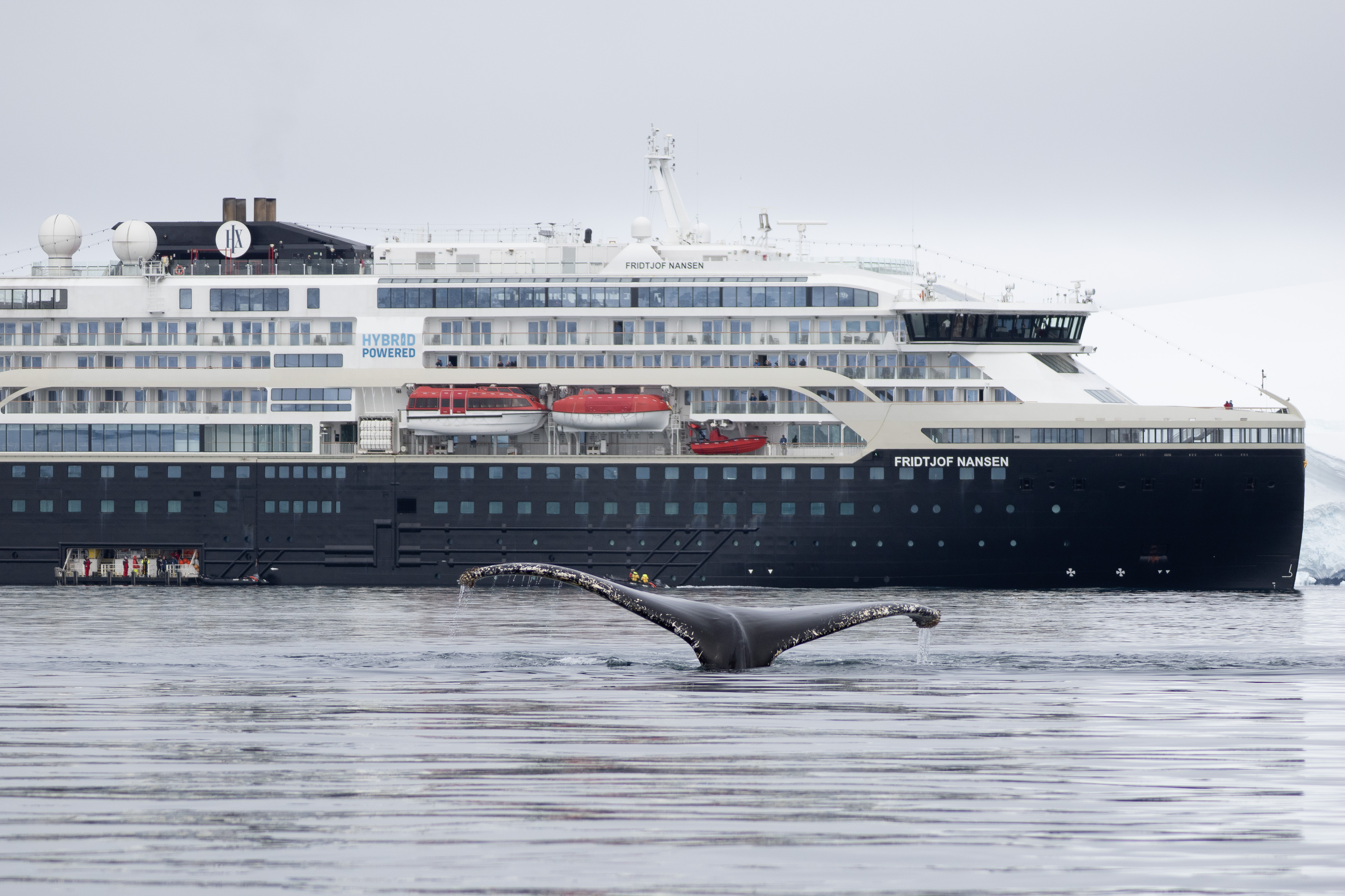 MS Fridtjof Nansen, Antarktis