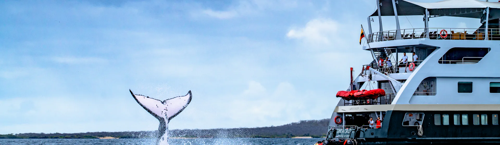 Santa Cruz ll