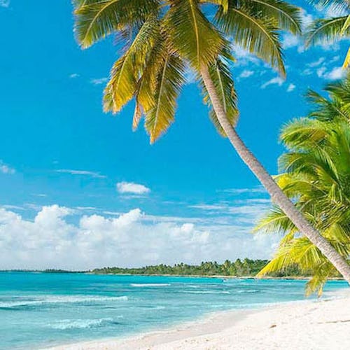 Brug for endnu længere tid væk? 14+ nætters 🚢