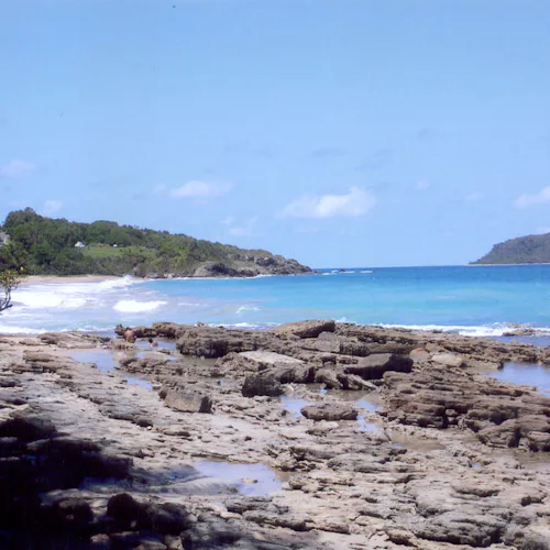 cruise caribien uden usa