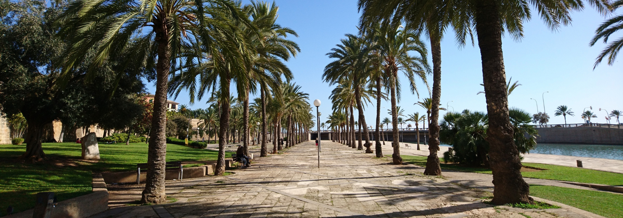 Krydstogt fra Mallorca, Palma de Mallorca