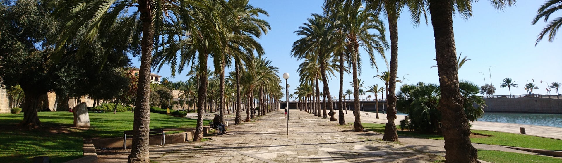 Krydstogt fra Mallorca, Palma de Mallorca