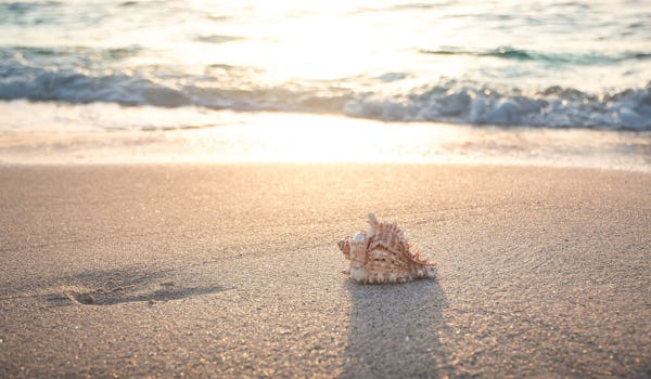 Brug for at trække stikket helt? 10-14 nætters 🚢
