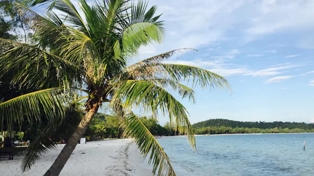 strand krydstogt ferie go-cruise