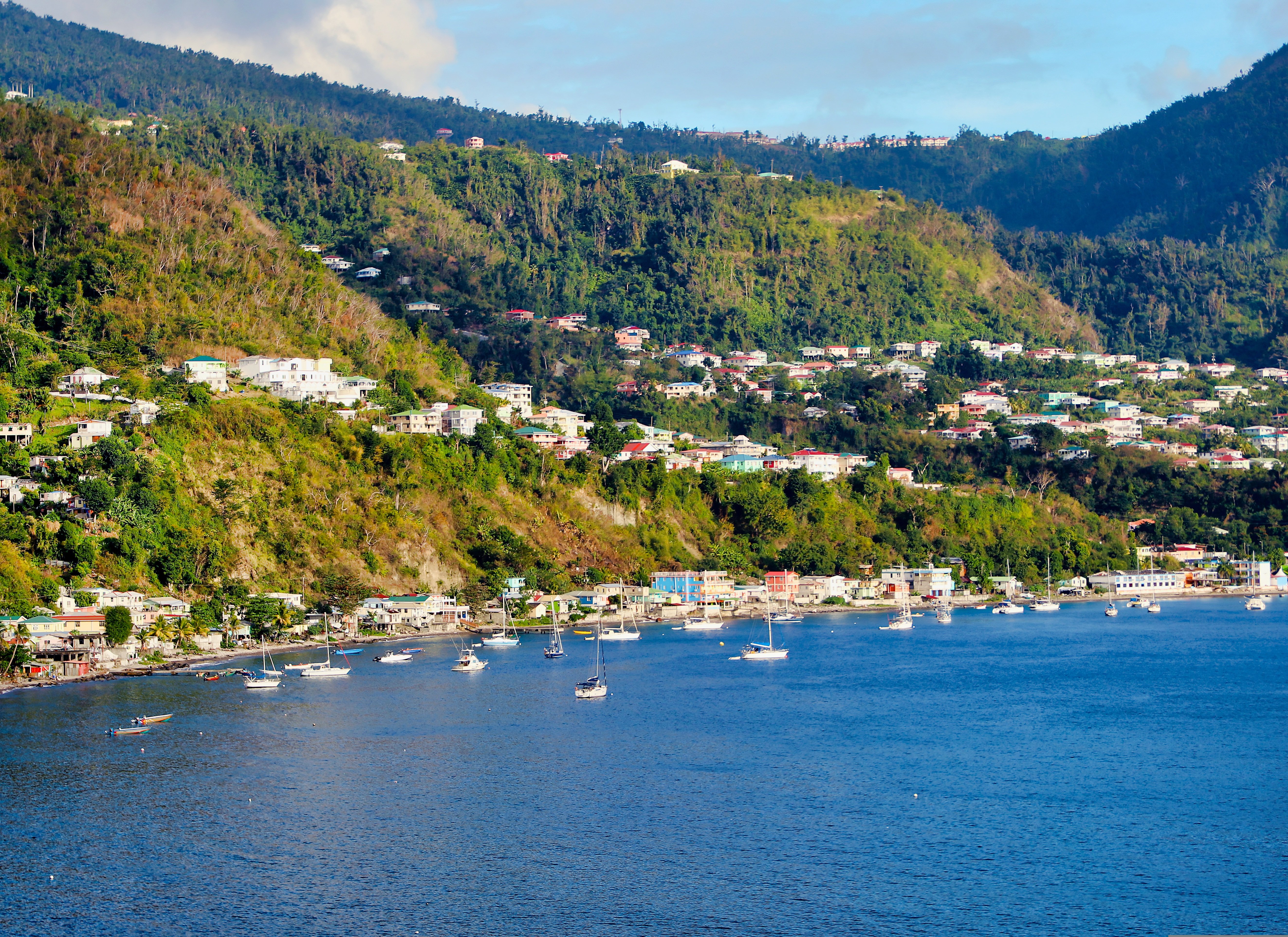 dominica Roseau caribien krydstogt go-cruise