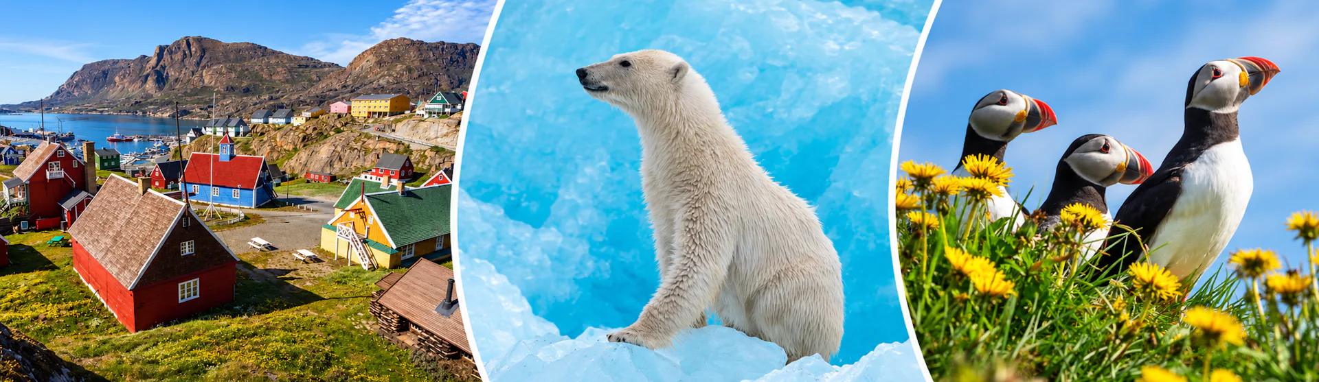 rejse til island, grønland og svalbard