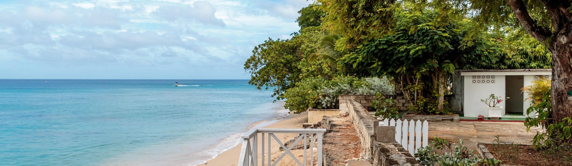 cruise fra tampa go-cruise caribien