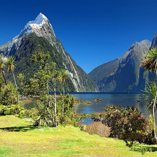 New Zealand