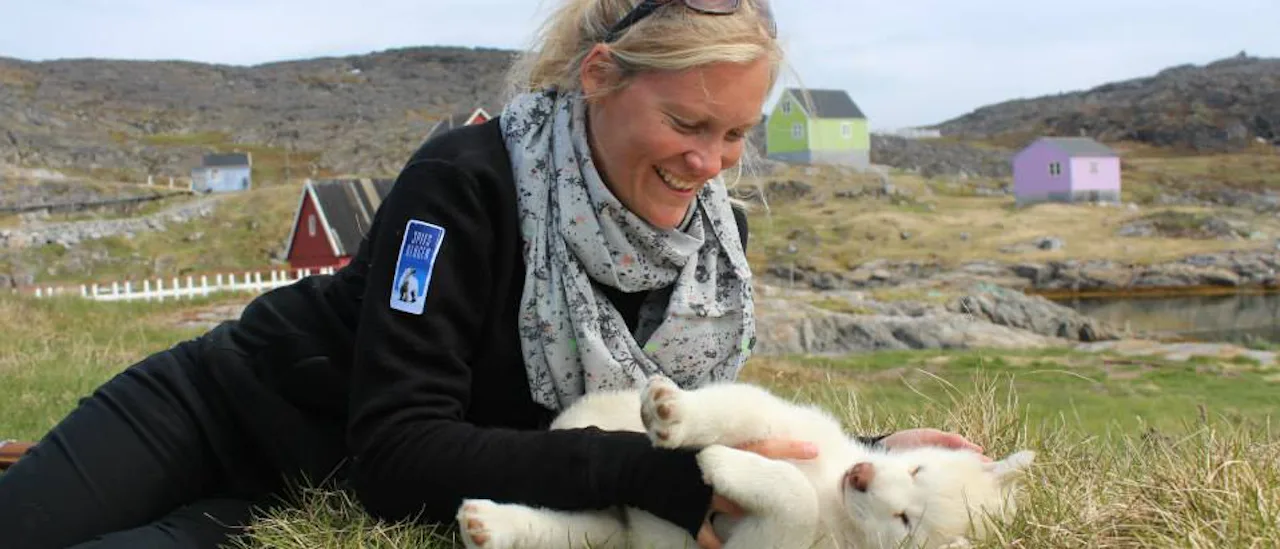 slædehunde grønland GO-Cruise