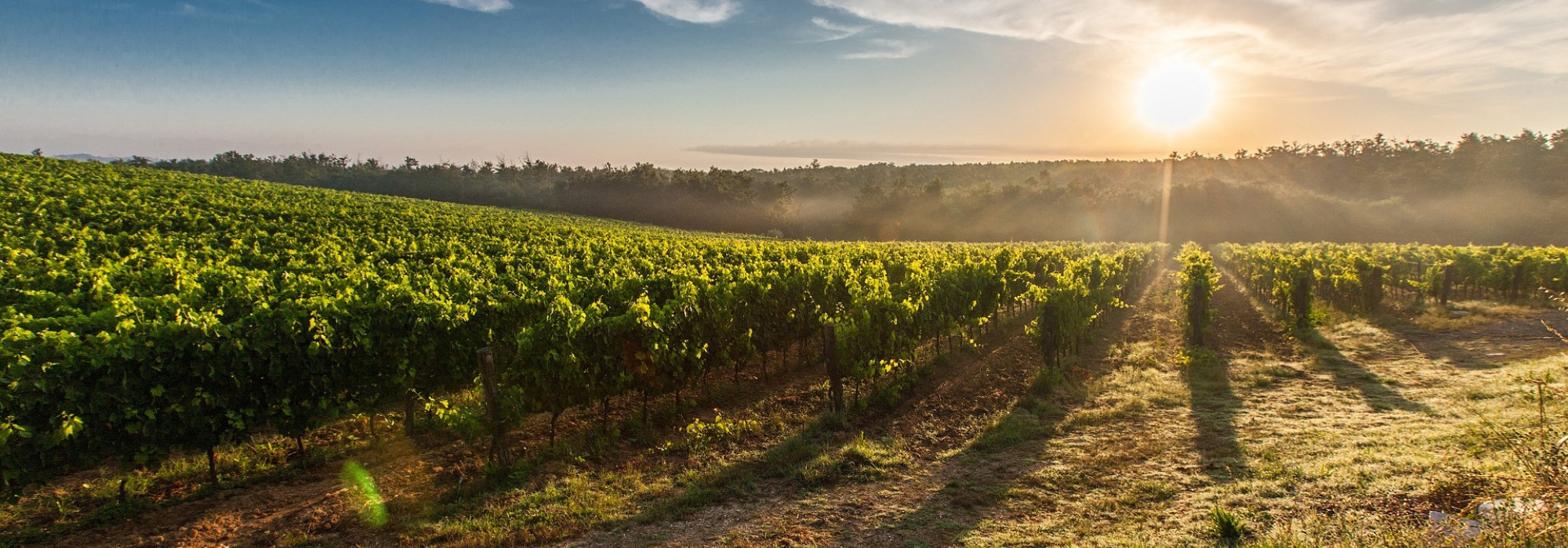 Krydstogt Middelhavet