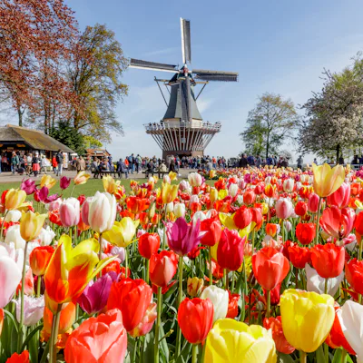 All inclusive Holland