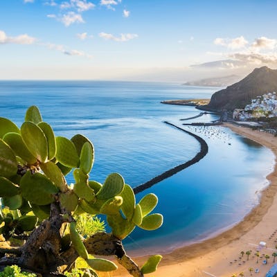 cruise til Kanarieøerne