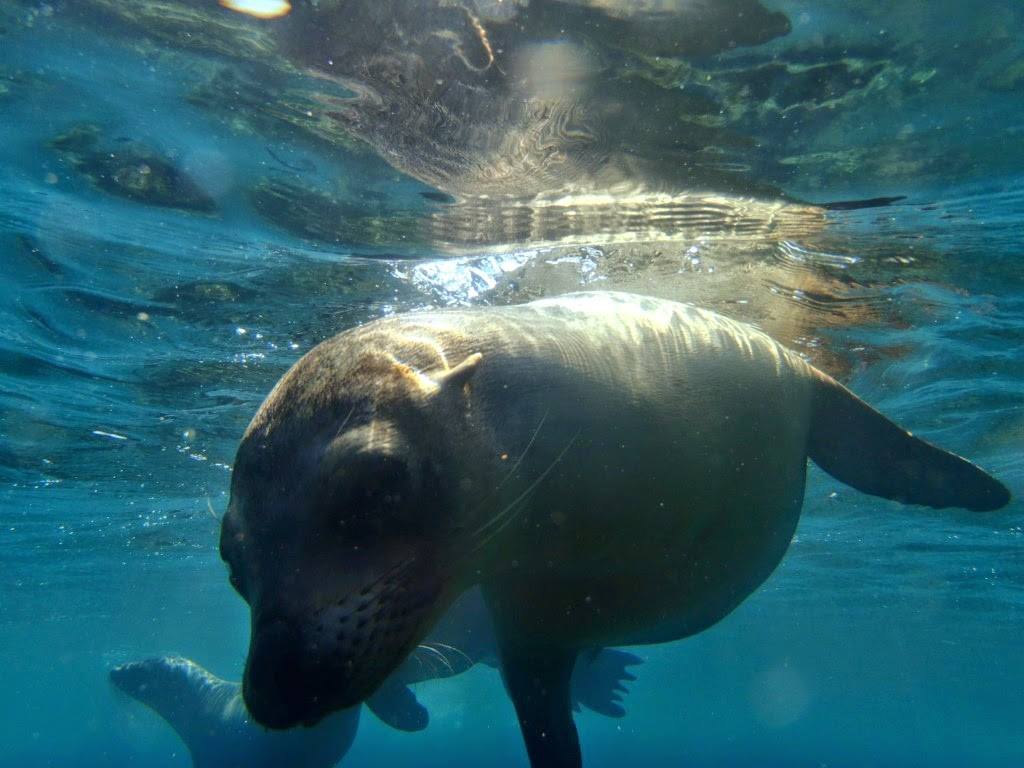 Øerne er et paradis for naturelskere