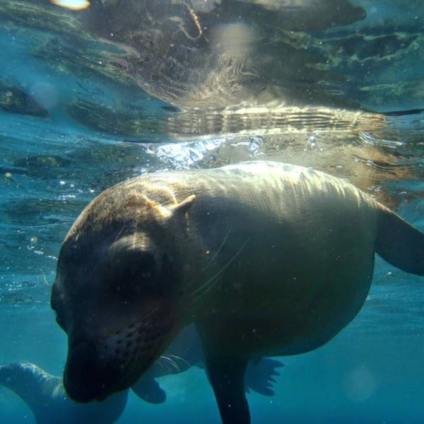 Øerne er et paradis for naturelskere