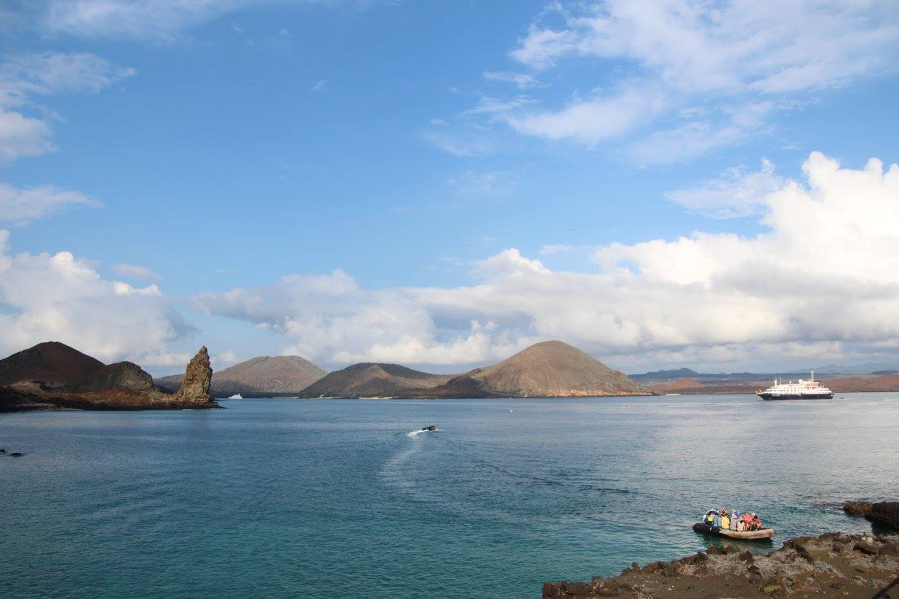 Aktiviteter du kan deltage i