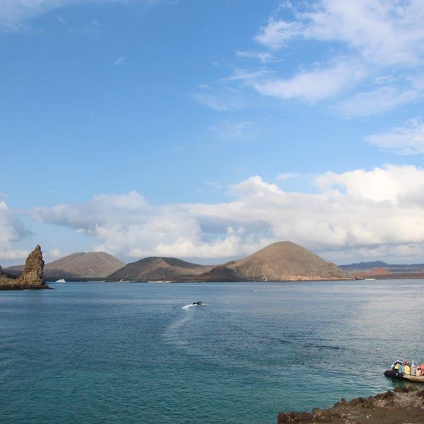 Aktiviteter du kan deltage i