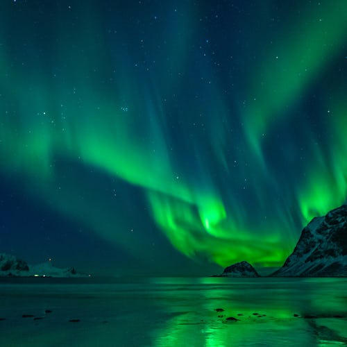 Nordlys go-cruise.dk