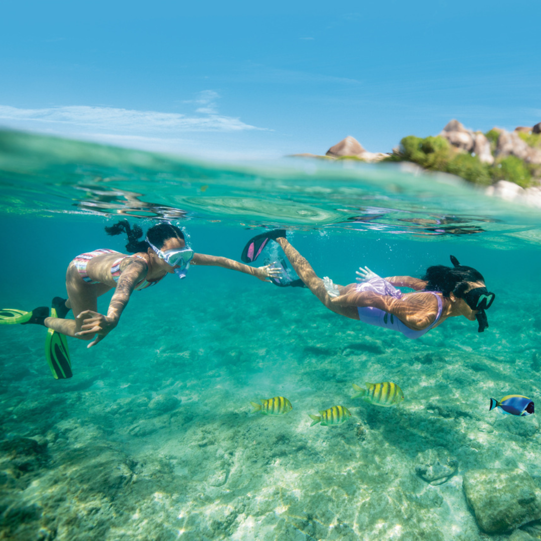 Korte krydstogter ved Bahamas eller Caribien