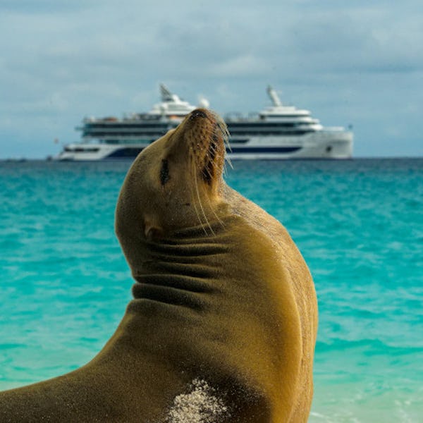 cruise galapagos go-cruise små skibe