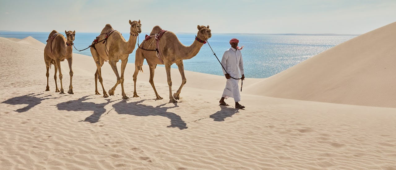 ørken møder hav qatar doha go-cruise krydstogter
