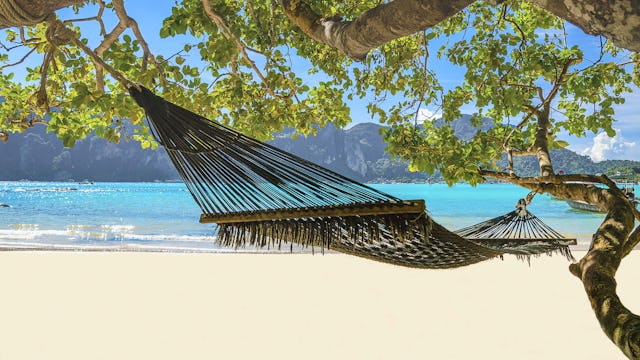 Jamaica med MSC Cruises