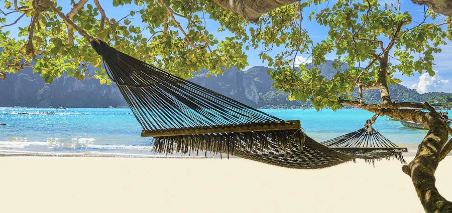 Jamaica med MSC Cruises