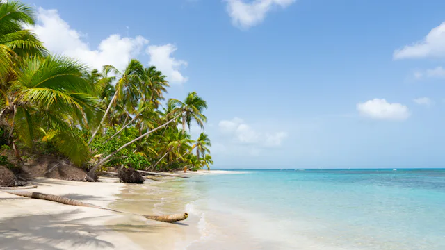 strand cruise - krydstogt caribien go-cruise