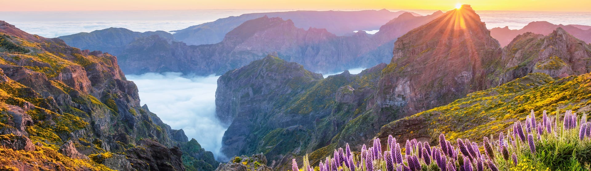 Madeira krydstogt hos GO-Cruise
