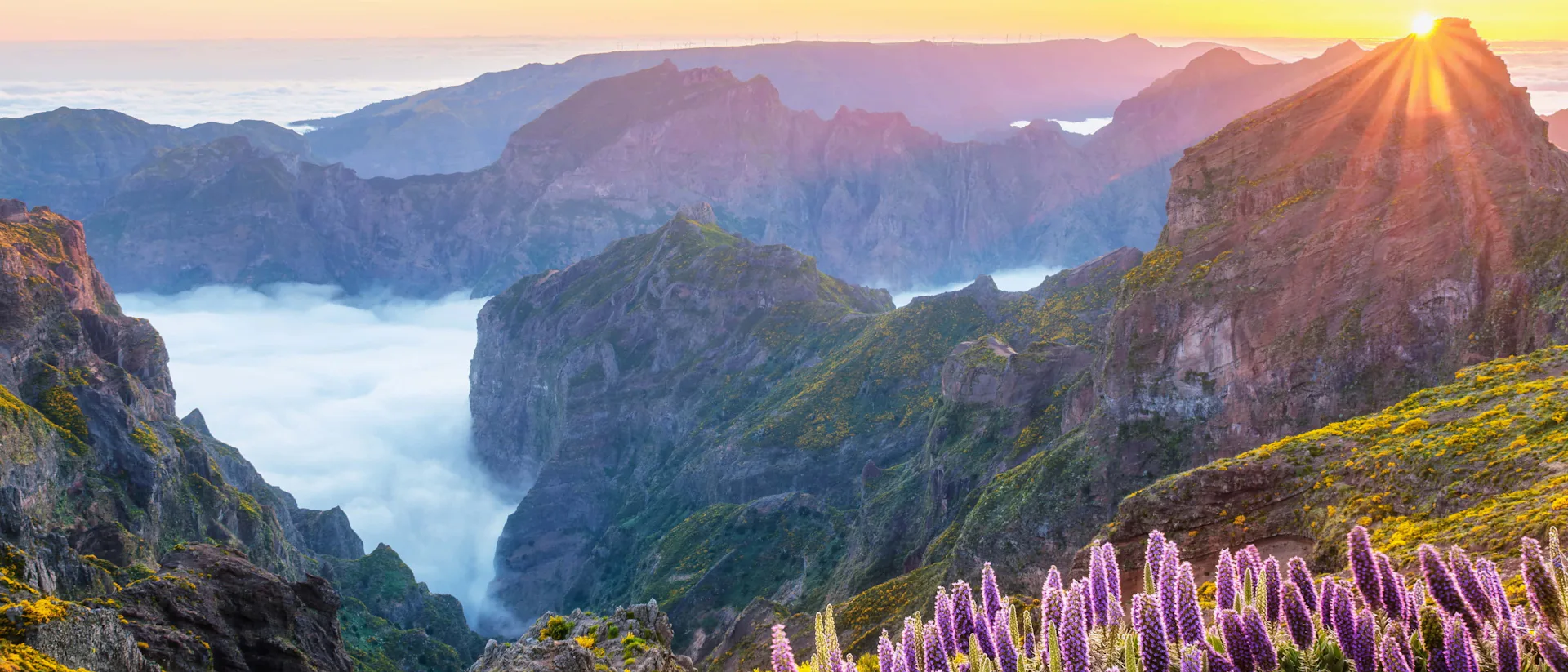 Madeira krydstogt hos GO-Cruise