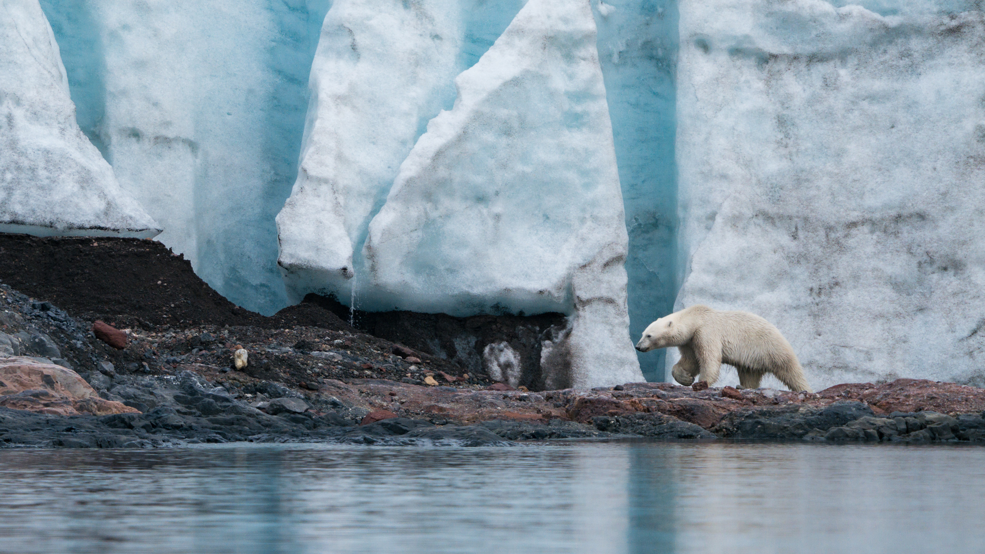krydstogt til svalbard