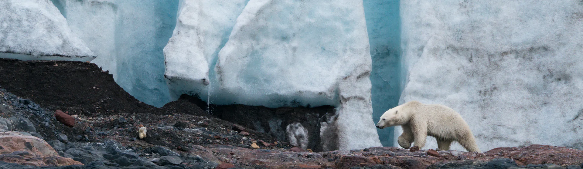 krydstogt til svalbard