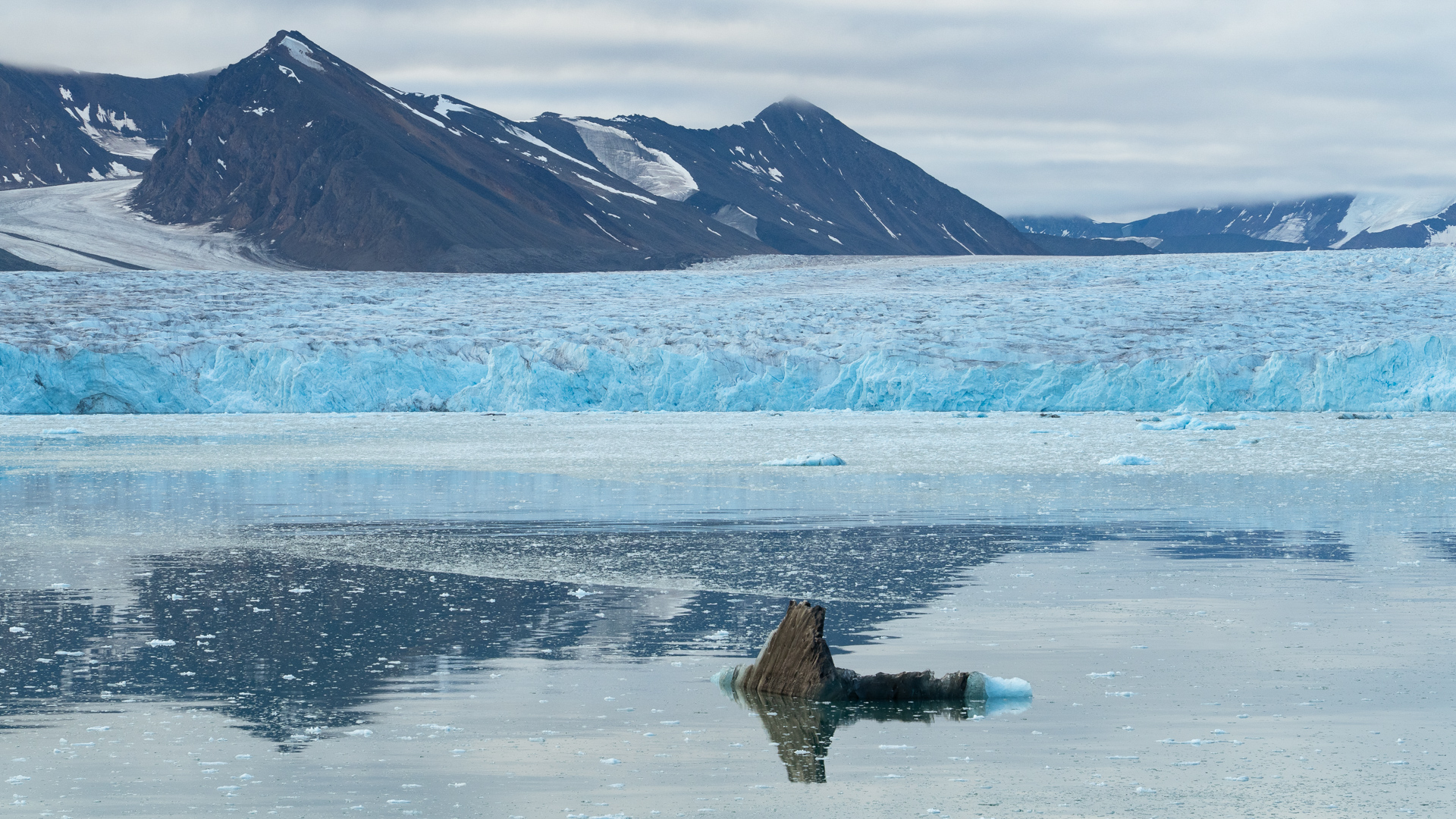 krydstogt til svalbard