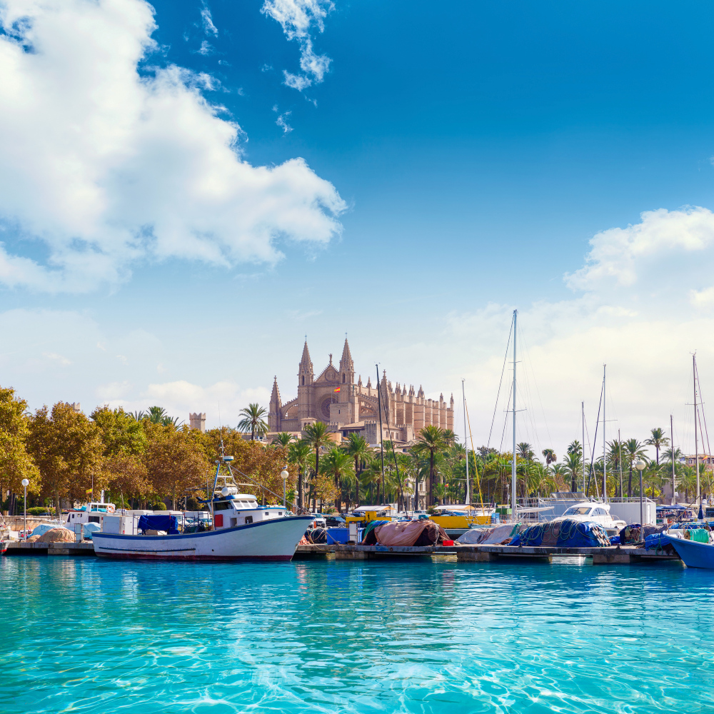 Krydstogt palma mallorca middelhavet GO-Cruise