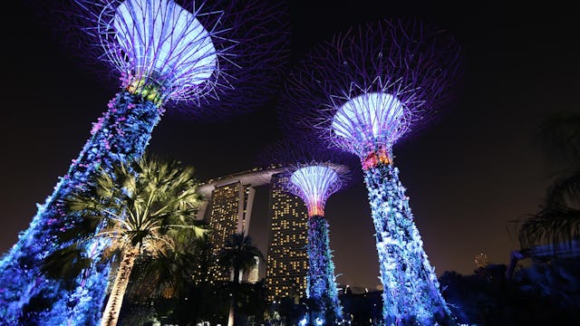 cruise fra singapore