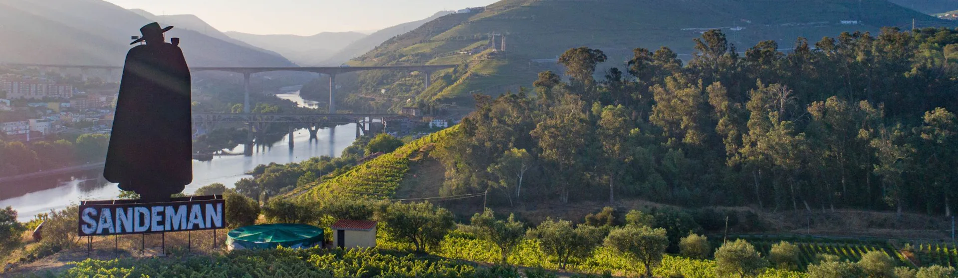 flodkrydstogt på douro