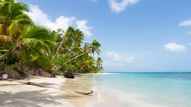 GO-Cruise billigste afbudsrejser i marts Krydstogter