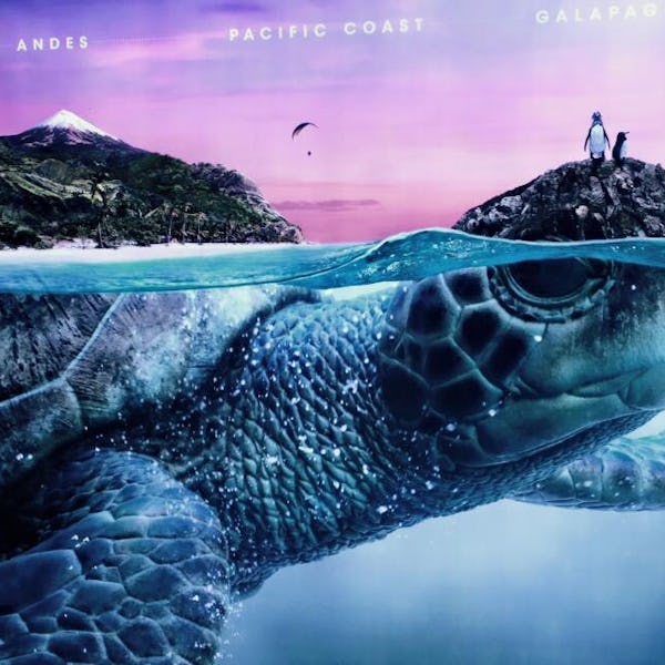 Hvorfor et ekspeditionskrydstogt?