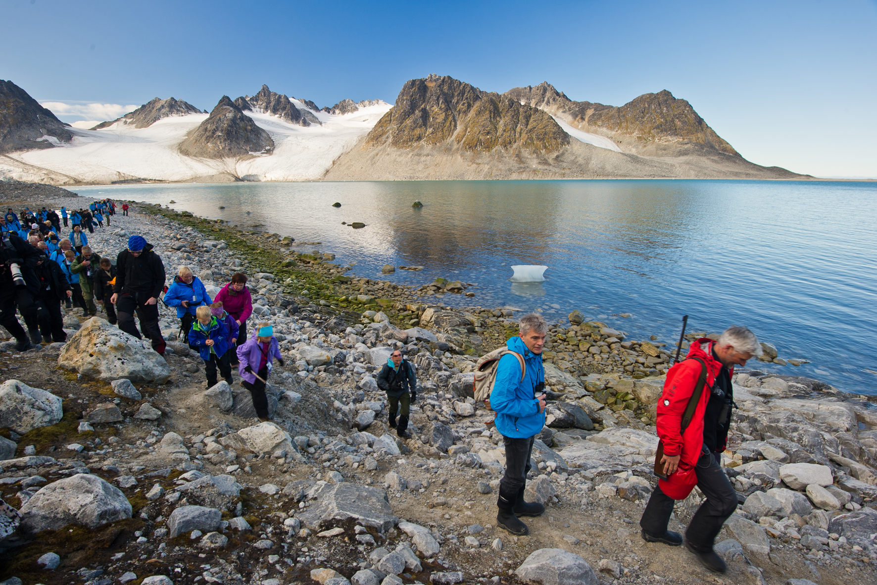 Udforsk et uberørt arktisk paradis med erfarne guider og ekspeditionsteam. Med små, intime skibe udforsker vi de isfyldte farvande og kystområder.