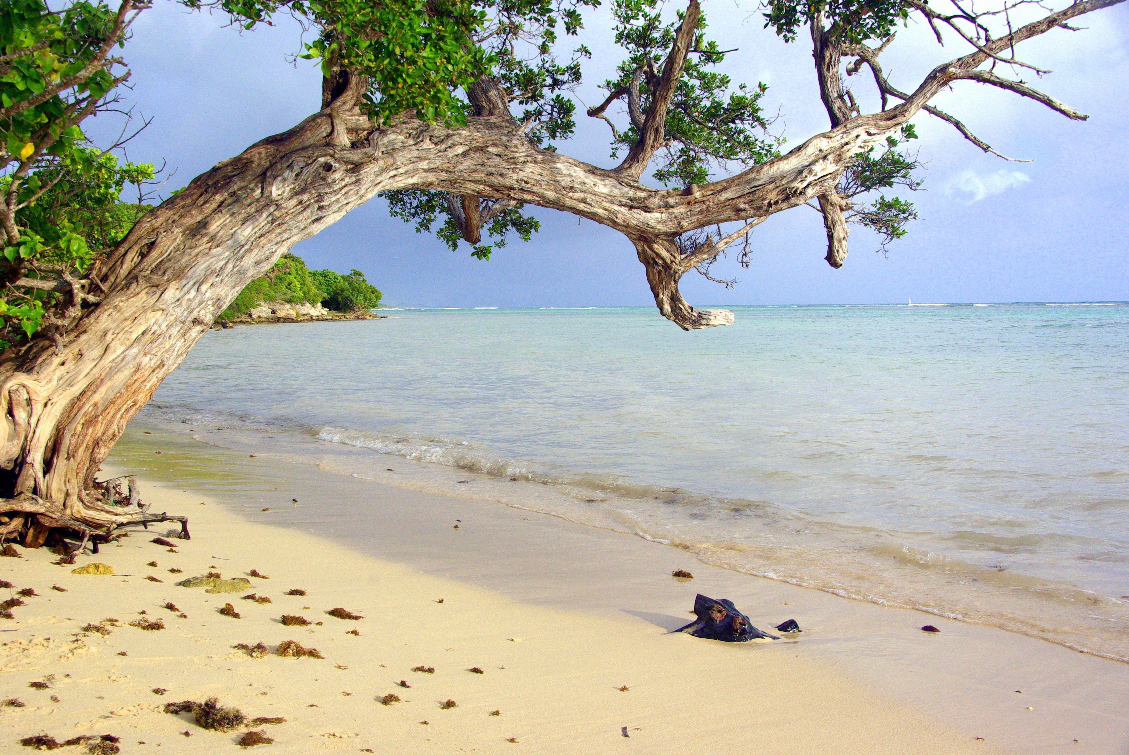 Guadeloupe krydstogt go-cruise caribien