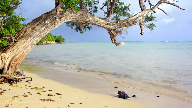 Guadeloupe krydstogt go-cruise caribien