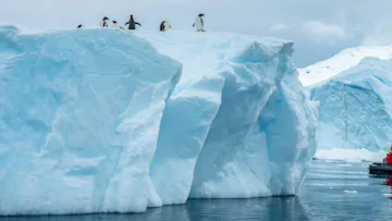 Pakkerejse: Krydstogt til Antarktis med HX Expeditions 🐧Jubilæumstilbud