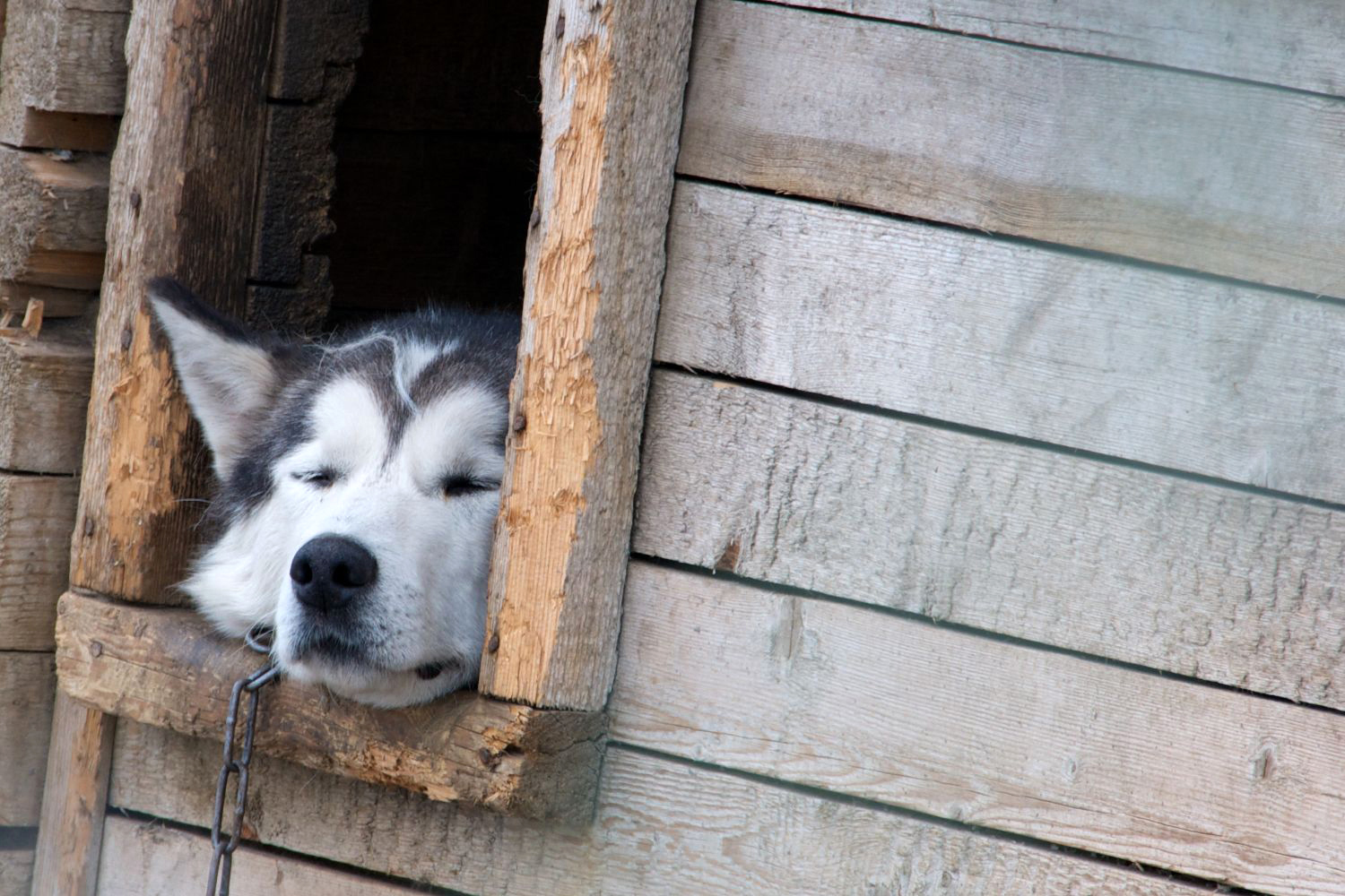 Longyearbyen svalbard